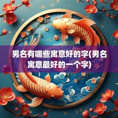 男名有哪些寓意好的字(男名寓意最好的一个字)
