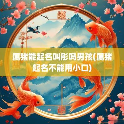 属猪能起名叫彤吗男孩(属猪起名不能用小口)
