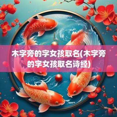 木字旁的字女孩取名(木字旁的字女孩取名诗经)