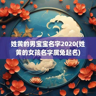 姓黄的男宝宝名字2025(姓黄的女孩名字属兔起名)