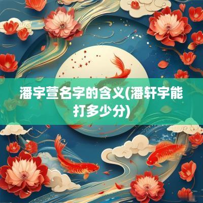 潘宇萱名字的含义(潘轩宇能打多少分)