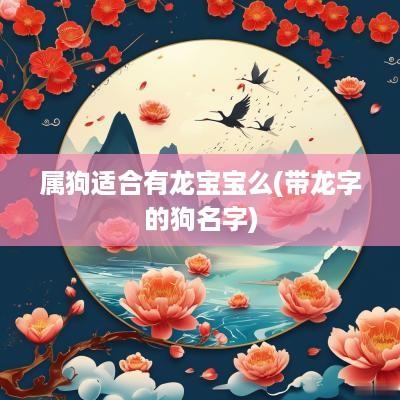 属狗适合有龙宝宝么(带龙字的狗名字)