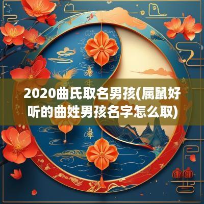 2025曲氏取名男孩(属鼠好听的曲姓男孩名字怎么取)