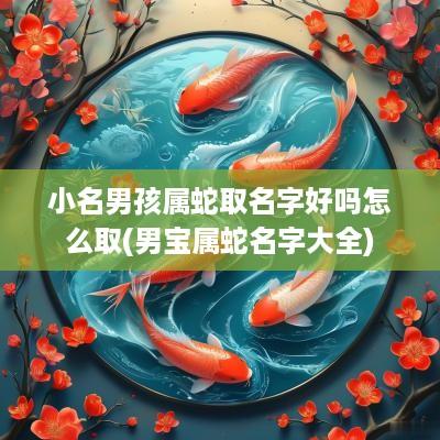 小名男孩属蛇取名字好吗怎么取(男宝属蛇名字大全)