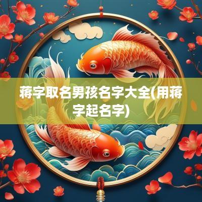 蒋字取名男孩名字大全(用蒋字起名字)