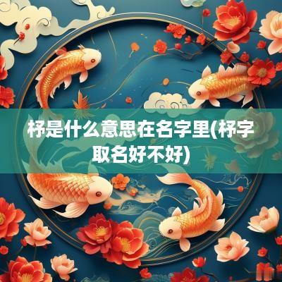 杼是什么意思在名字里(杼字取名好不好)