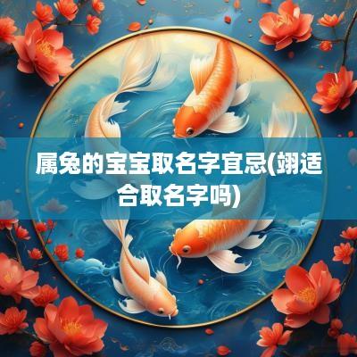 属兔的宝宝取名字宜忌(翊适合取名字吗)