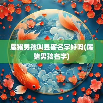 属猪男孩叫昱蘅名字好吗(属猪男孩名字)