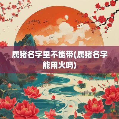 属猪名字里不能带(属猪名字能用火吗)