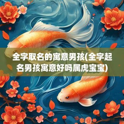 全字取名的寓意男孩(全字起名男孩寓意好吗属虎宝宝)