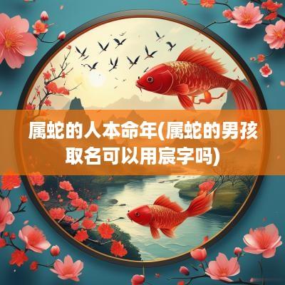 属蛇的人本命年(属蛇的男孩取名可以用宸字吗)
