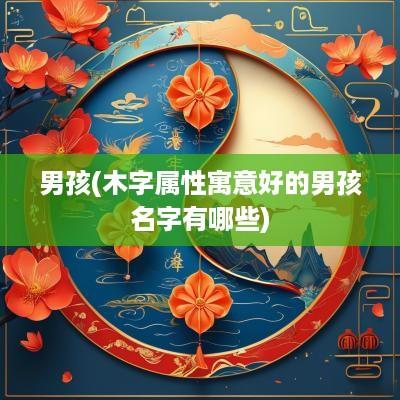 男孩(木字属性寓意好的男孩名字有哪些)