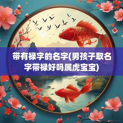 带有禄字的名字(男孩子取名字带禄好吗属虎宝宝)