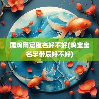 属鸡用宸取名好不好(鸡宝宝名字带辰好不好)
