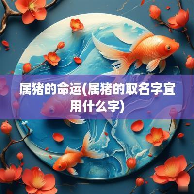 属猪的命运(属猪的取名字宜用什么字)