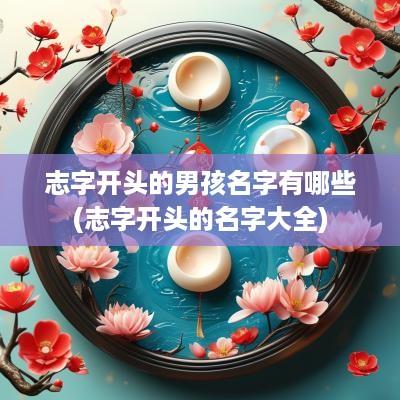 志字开头的男孩名字有哪些(志字开头的名字大全)