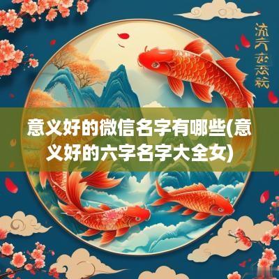 意义好的微信名字有哪些(意义好的六字名字大全女)