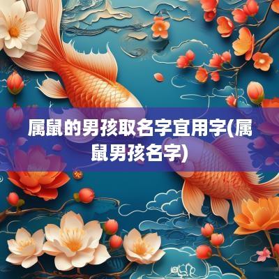 属鼠的男孩取名字宜用字(属鼠男孩名字)