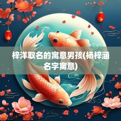 梓洋取名的寓意男孩(杨梓涵名字寓意)