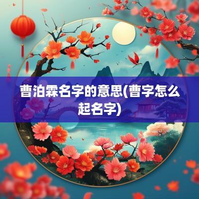 曹泊霖名字的意思(曹字怎么起名字)