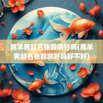 属羊男起名张翰鹏好吗(属羊男起名张翰鹏好吗好不好)
