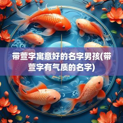 带萱字寓意好的名字男孩(带萱字有气质的名字)