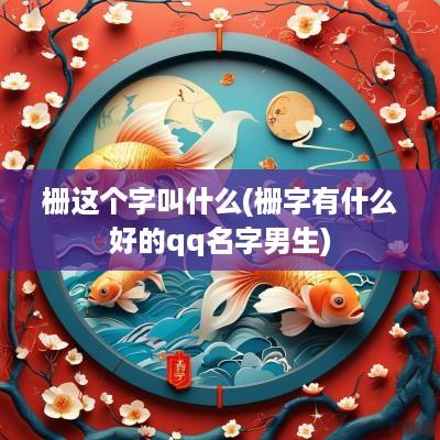 栅这个字叫什么(栅字有什么好的qq名字男生)