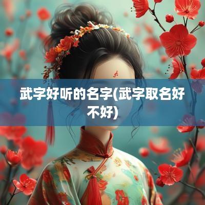 武字好听的名字(武字取名好不好)