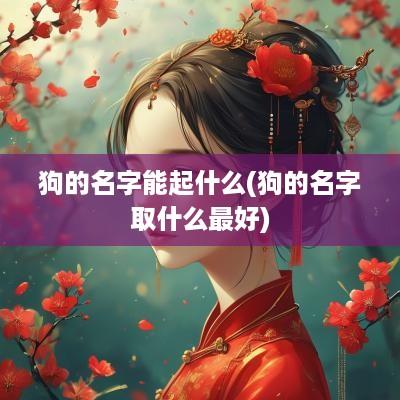 狗的名字能起什么(狗的名字取什么最好)