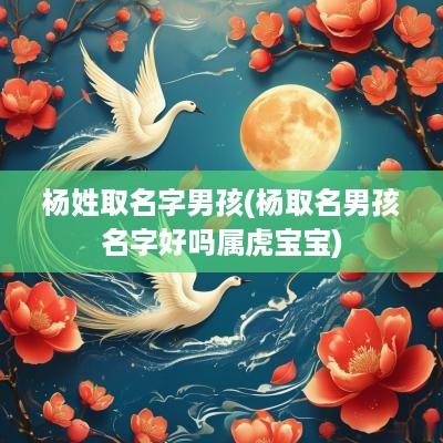 杨姓取名字男孩(杨取名男孩名字好吗属虎宝宝)