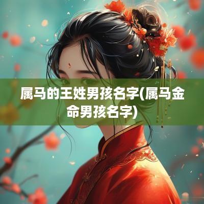 属马的王姓男孩名字(属马金命男孩名字)