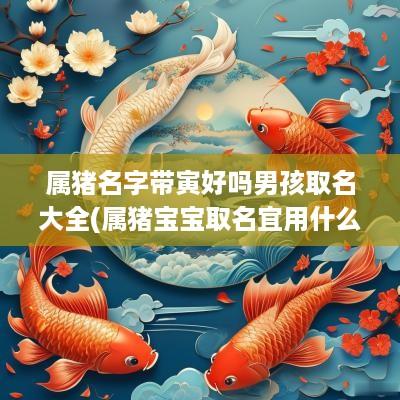 属猪名字带寅好吗男孩取名大全(属猪宝宝取名宜用什么字)