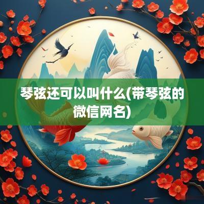 琴弦还可以叫什么(带琴弦的微信网名)