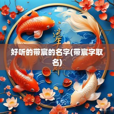 好听的带宸的名字(带宸字取名)