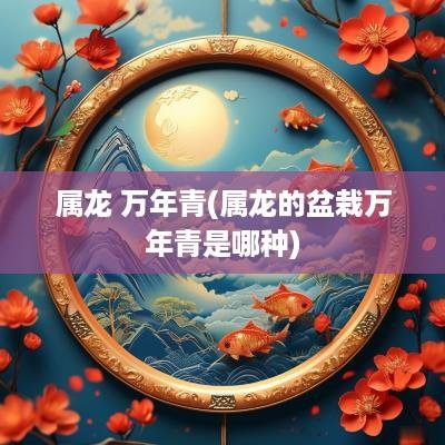 属龙 万年青(属龙的盆栽万年青是哪种)