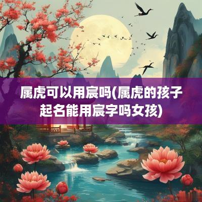 属虎可以用宸吗(属虎的孩子起名能用宸字吗女孩)