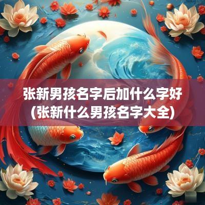 张新男孩名字后加什么字好(张新什么男孩名字大全)