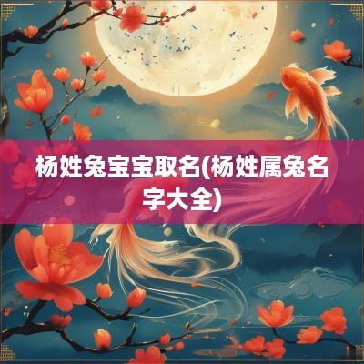 杨姓兔宝宝取名(杨姓属兔名字大全)