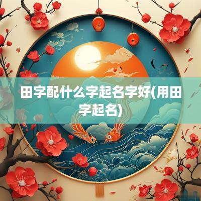 田字配什么字起名字好(用田字起名)
