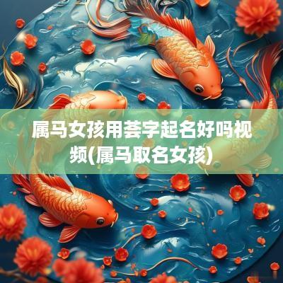 属马女孩用荟字起名好吗视频(属马取名女孩)