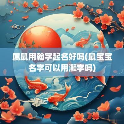 属鼠用翰字起名好吗(鼠宝宝名字可以用灏字吗)