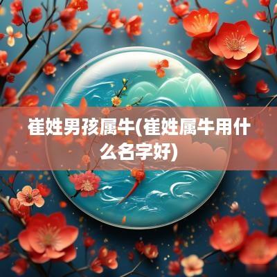 崔姓男孩属牛(崔姓属牛用什么名字好)