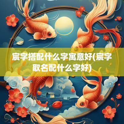 宸字搭配什么字寓意好(宸字取名配什么字好)