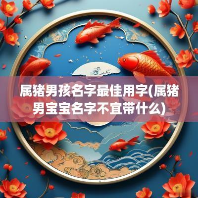 属猪男孩名字最佳用字(属猪男宝宝名字不宜带什么)