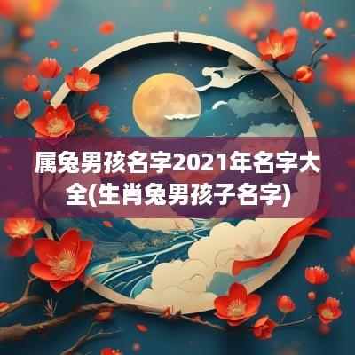 属兔男孩名字2025年名字大全(生肖兔男孩子名字)