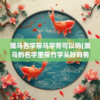 属马名字带马字旁可以吗(属马的名字里带竹字头好吗男孩)