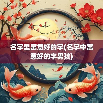 名字里寓意好的字(名字中寓意好的字男孩)