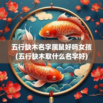 五行缺木名字属鼠好吗女孩(五行缺木取什么名字好)