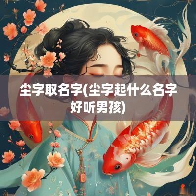 尘字取名字(尘字起什么名字好听男孩)