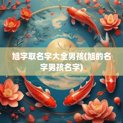 旭字取名字大全男孩(旭的名字男孩名字)